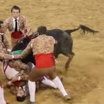 【衝撃映像】闘牛に突進され頭を強打するマタドール、体が痙攣し危険な状態に。。