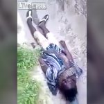 【衝撃映像】ペットとして飼っていた巨大ニシキヘビに殺されてしまった飼い主の映像。