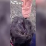 【グロ動画】精神病患者がとんでもない理由で自分の頭にナイフを突き刺してしまう。