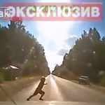 急に飛び出してきた子供が救急車に轢かれて死亡する映像。