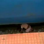 【閲覧注意】駅のホームに落ちた赤ちゃん、母親の前で轢き殺されるグロ動画。