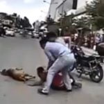 警察官を襲ったピットブル、射殺され飼い主が逮捕される動画。