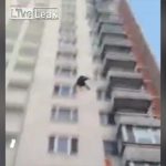 【閲覧注意】飛び降り自殺を撮影してたらもう1人落ちてきたグロ動画。