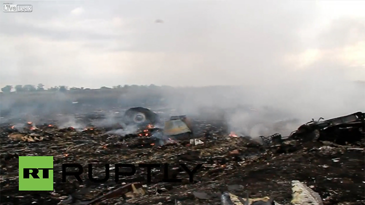 【閲覧注意】飛行機事故の現場、まるで地獄絵図のようなグロ動画。