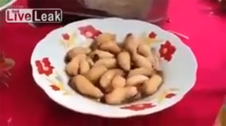 【閲覧注意】え･･･それ何食べてるの･･･？なんかウネウネ動いてる昆虫を食べるグロ動画。