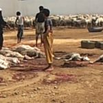 【閲覧注意】パキスタンにて羊7000匹が殺処分されるグロ動画。