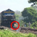 【インド】時速110kmの電車に轢かれて弾け飛ぶ牛の動画。