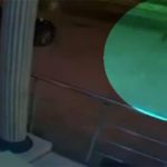 あのデカイ刀「マチェテ」で兄弟を殺された男が同じようにマチェテを使って復讐する動画。