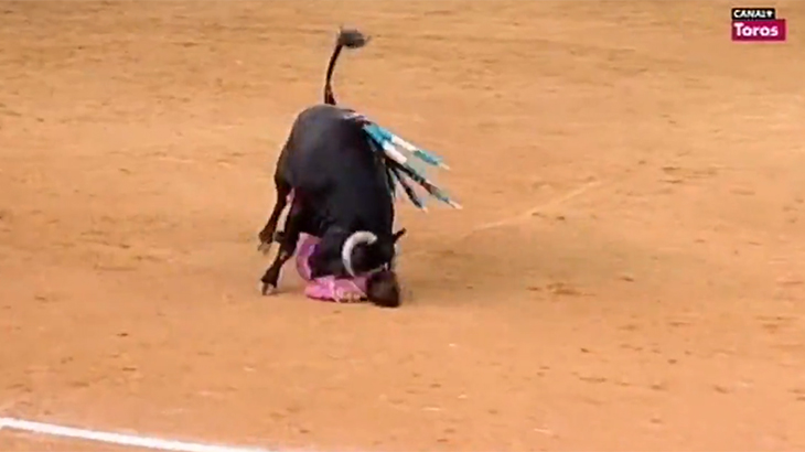 【閲覧注意】スペインにて闘牛士がツノで顔面を抉られてしまうグロ動画。