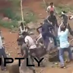 村を襲ったクマ、強すぎる村人たちにフルボッコにされ燃やされる動画。