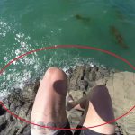 海への飛び込み失敗まとめ動画5選。