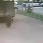 バックしてきたトラックに轢き殺される女性の動画。