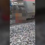 【閲覧注意】電車と衝突したのは人ではなく犬だった。