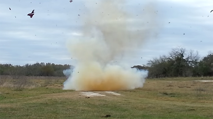 爆発物で殺す。空高く吹き飛ぶ豚の動画。