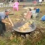 中国のおじさん、熱湯で犬を虐待するグロ動画。