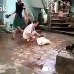【閲覧注意】犬を殴ったり首を切ったりするグロ動画。