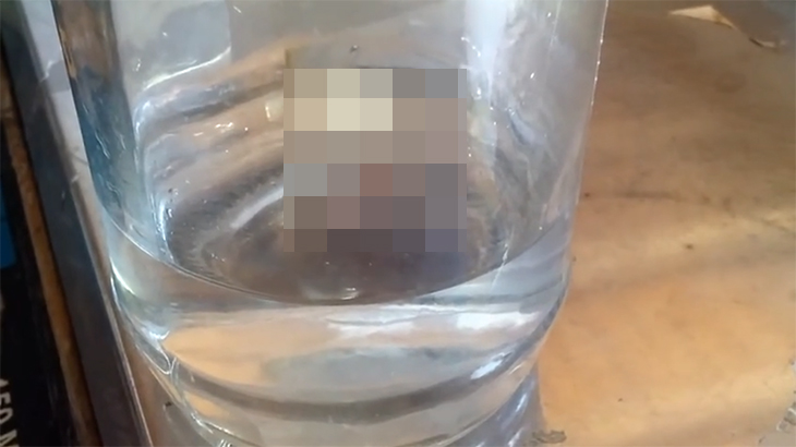 水道水からこんな謎の生き物が出てきたら怖くて飲めない。