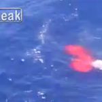 【閲覧注意】漁師同士の抗争？海に浮かぶ人を銃で撃ち殺すグロ動画。