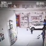 よちよち歩きの子供がゆっくりと車に轢き殺される動画。