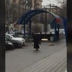 【衝撃映像】3歳の子供の頭を切り落としたベビーシッターのグロ動画。