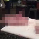 【閲覧注意】頭を切られ、皮も内蔵も取られてなお動きまくる蛇のグロ動画。