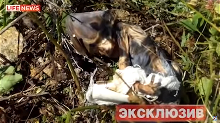 【閲覧注意】森の中から248人の赤ちゃんの死体が見つかる。