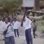 めでたい結婚式の場で、なぜか人が死ぬという動画。