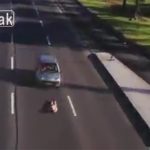 マネしちゃダメ。絶対。車に轢かれないパフォーマンスをする男の動画。