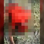 【超！閲覧注意】体は真っ二つ、脳と心臓が飛び出してしまったグロ動画。