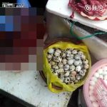 【閲覧注意】路上で売られているウズラ、捌かれタマゴを取り出されるグロ動画。