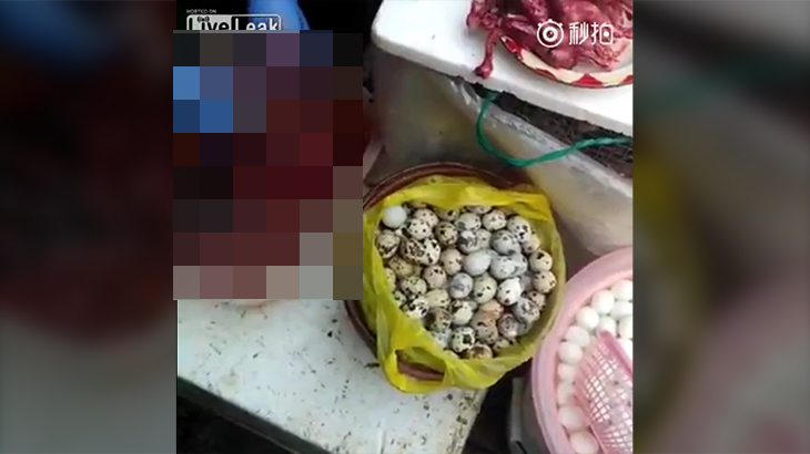 【閲覧注意】路上で売られているウズラ、捌かれタマゴを取り出されるグロ動画。