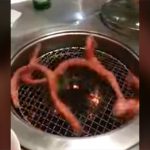 【閲覧注意】ヌタウナギの焼き肉。これはちょっとグロすぎて無理かも・・・。
