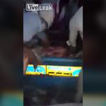 【閲覧注意】脱穀機に巻き込まれてしまった男、体をバラバラにされてしまったグロ動画。