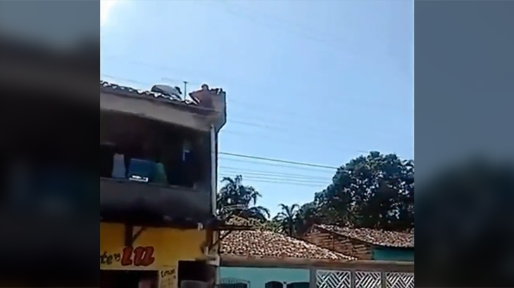 飛び降り自殺者を助けようとして逆に突き落とされる動画。