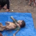 【閲覧注意】ピラニアに食べられ骨だけになってしまった少年のグロ動画。