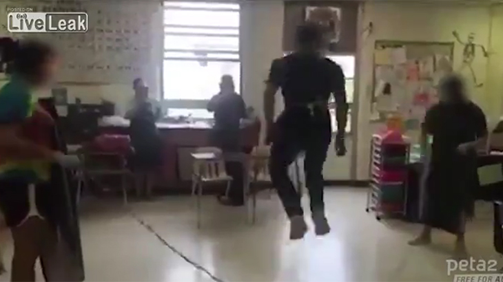 猫の解剖中、腸で縄跳びし始める生徒たちの動画。