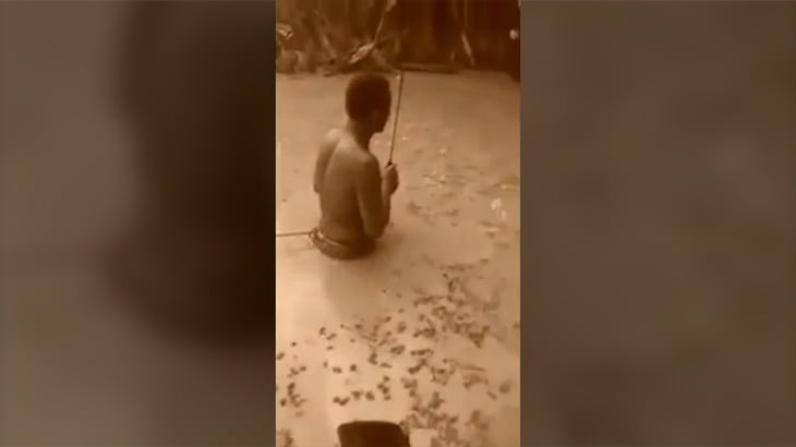 沼で電気ウナギに襲われるのがこれほど怖いとは。