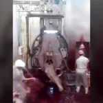 【閲覧注意】普段口にする牛肉、ウシはこうして屠殺される。