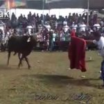 【閲覧注意】闘牛に腕の動脈を切られて血が吹き出てしまった男のグロ動画。