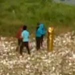 【閲覧注意】巨大爆竹で体が吹っ飛び死亡する少年のグロ動画。