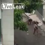 ニューハーフ、真っ昼間から女の子を殴り殺す動画。