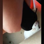 スタンガンでネズミを殺す。その様子を笑いながら撮影するグロ動画。