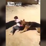 犬に子供を襲わせる動画。これは躾か？