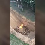 落とし穴に子ヤギを放り投げて燃やすグロ動画。