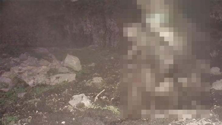 山にカメラ設置したらとんでもない映像撮れた。