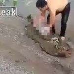 【閲覧注意】川から引き揚げられたのは小さな子供だった。