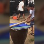 今夜の食材。犬を茹で釜に入れて殺す村人。