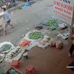 【閲覧注意】麻薬中毒の男、隣人を刃物で切りまくるグロ動画。