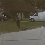 犬に襲われる2人の女の子。射殺されるピットブル。