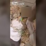 【閲覧注意】アジア人ISIS戦闘員の死体映像。